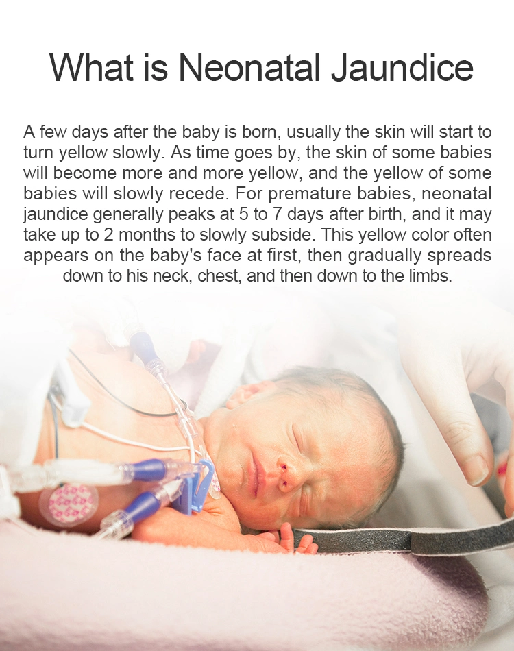 High Quality Hot Sale Good Quality Baby Care Equipment Neonatal Jaundice LED Infant Phototherapy Unit Price with CE ISO Heal Force